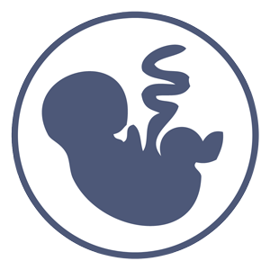 Fetal Imaging Ultrasound